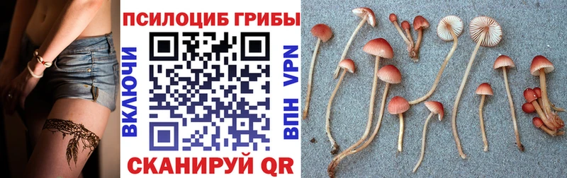 Псилоцибиновые грибы Magic Shrooms мориарти наркотические препараты Макаров как найти наркотики